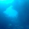 Picture taken during the dive