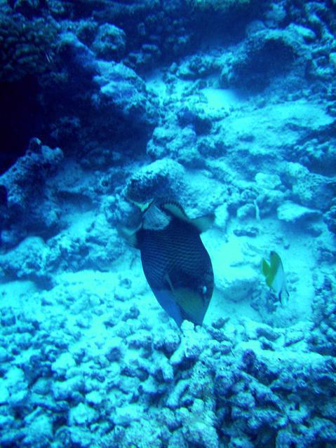 The Six Passengers - Dive Center