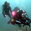 Picture taken during the dive