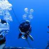 Picture taken during the dive