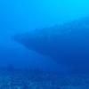Picture taken during the dive