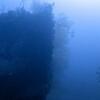 Picture taken during the dive