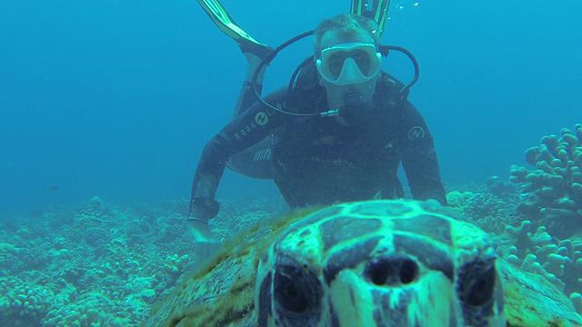 Tuamotu Plongee - Dive Center