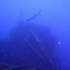 Picture taken during the dive