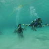 Picture taken during the dive
