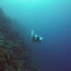 Picture taken during the dive