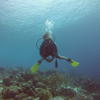 Picture taken during the dive