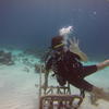 Picture taken during the dive