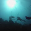Picture taken during the dive