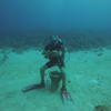 Picture taken during the dive
