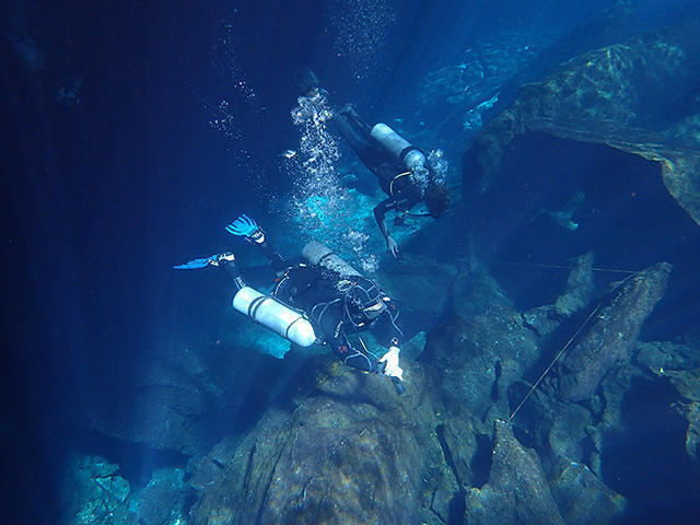 Diversity Diving - Dive Center in Mexique