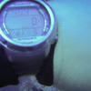 Picture taken during the dive