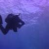 Picture taken during the dive