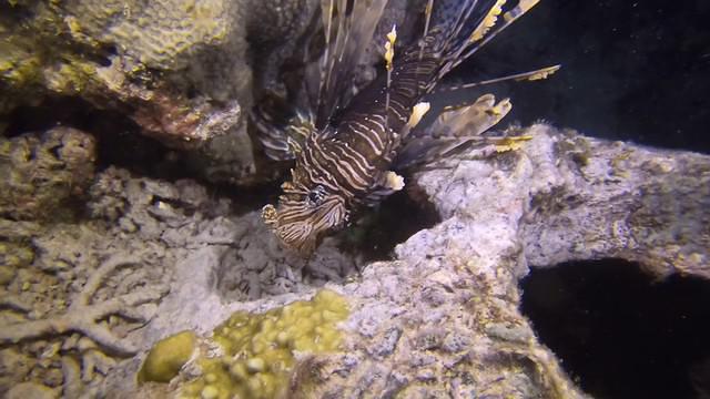 Sipadan-Mabul Resort, Sdn Bhd - Dive Center in Malaysia