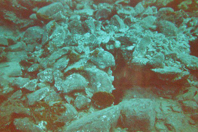 Plongee France Jandia Sub - Dive Center in Spain