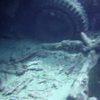 Picture taken during the dive