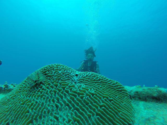 Sharky Dive Shop - Dive Center in Colombia