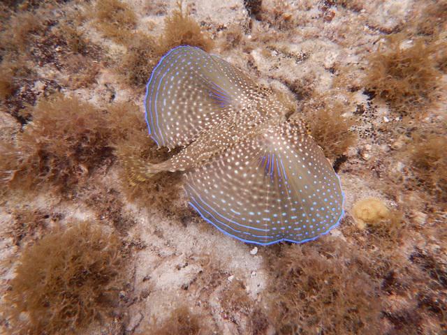 Divewederfoort - Dive Center in Netherlands Antilles