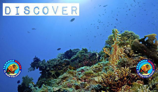 Tabanka Divers - Dive Center in 菲律宾