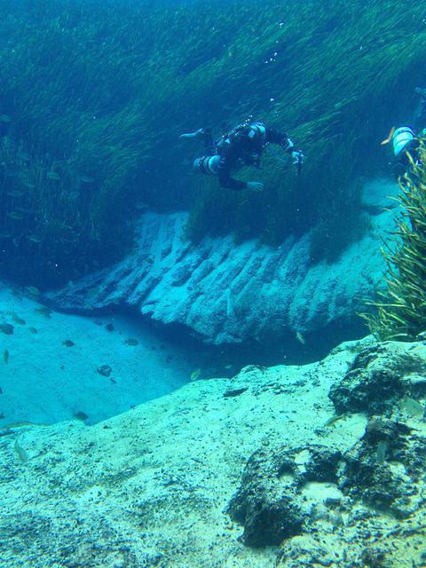 Cave Adventurers - Dive Center in United States