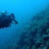 Picture taken during the dive