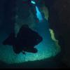 Picture taken during the dive
