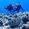 Picture taken during the dive