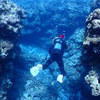 Picture taken during the dive