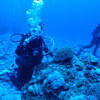 Picture taken during the dive