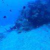 Picture taken during the dive