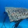 Picture taken during the dive