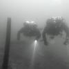 Picture taken during the dive