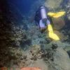 Picture taken during the dive