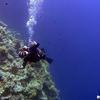 Picture taken during the dive