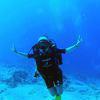 Picture taken during the dive