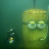 Picture taken during the dive