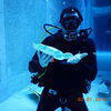 Picture taken during the dive