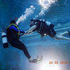 Picture taken during the dive