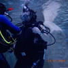 Picture taken during the dive