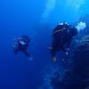 Picture taken during the dive