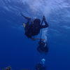 Picture taken during the dive