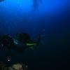 Picture taken during the dive