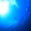 Picture taken during the dive