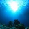 Picture taken during the dive