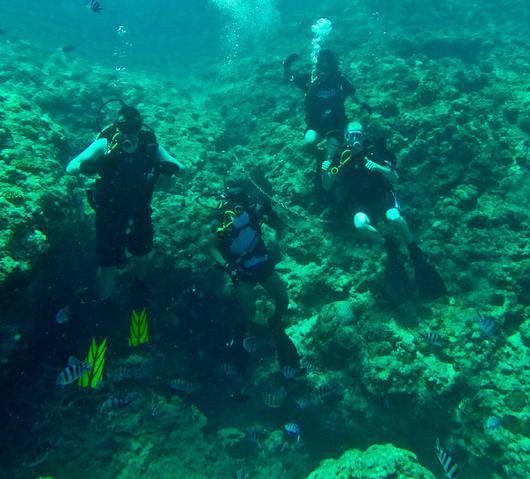 Torii Beach Scuba Locker - Dive Center