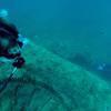 Picture taken during the dive