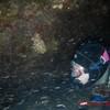 Picture taken during the dive
