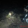 Picture taken during the dive