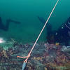 Picture taken during the dive