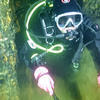 Picture taken during the dive